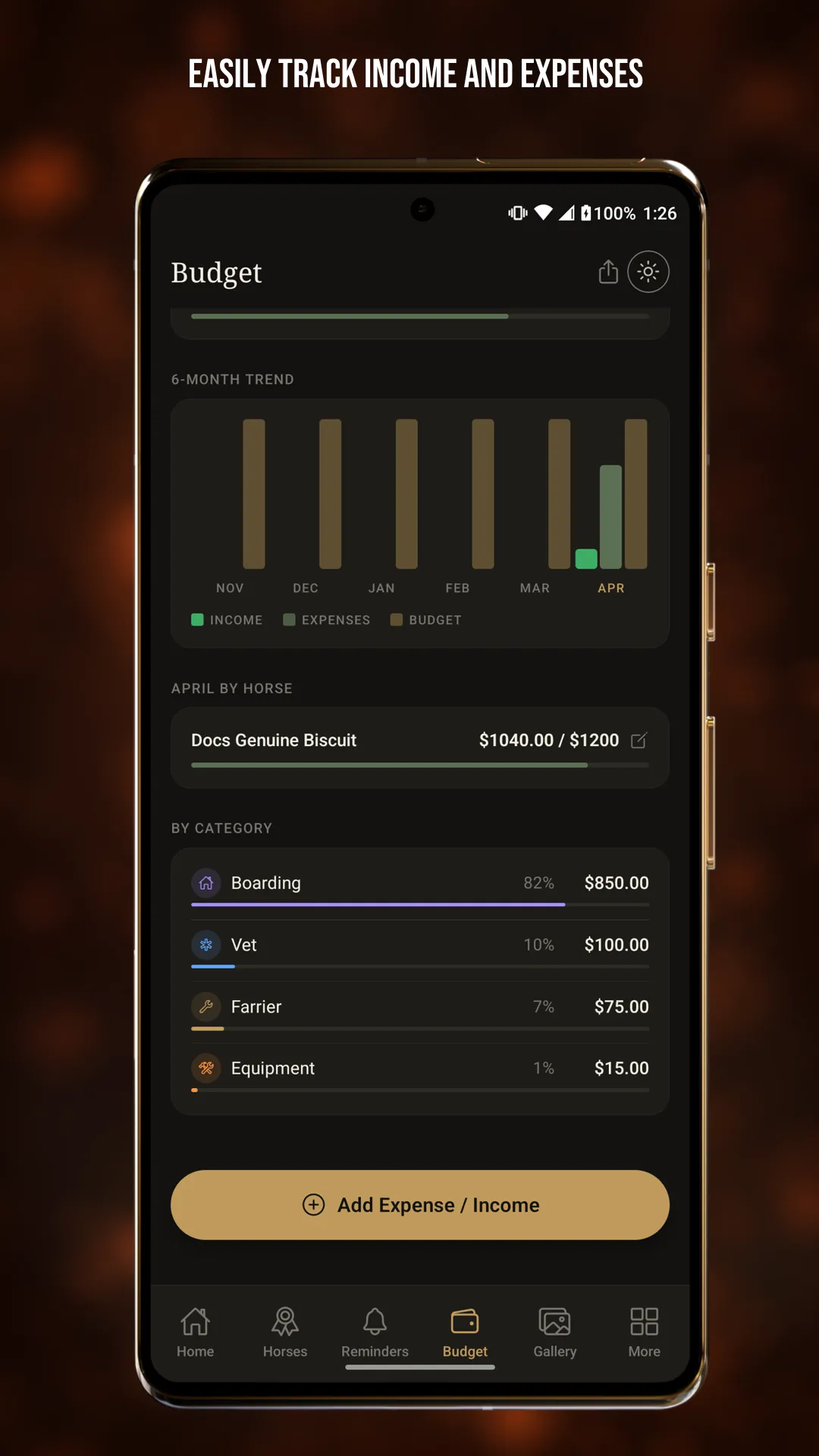 Budget tracking