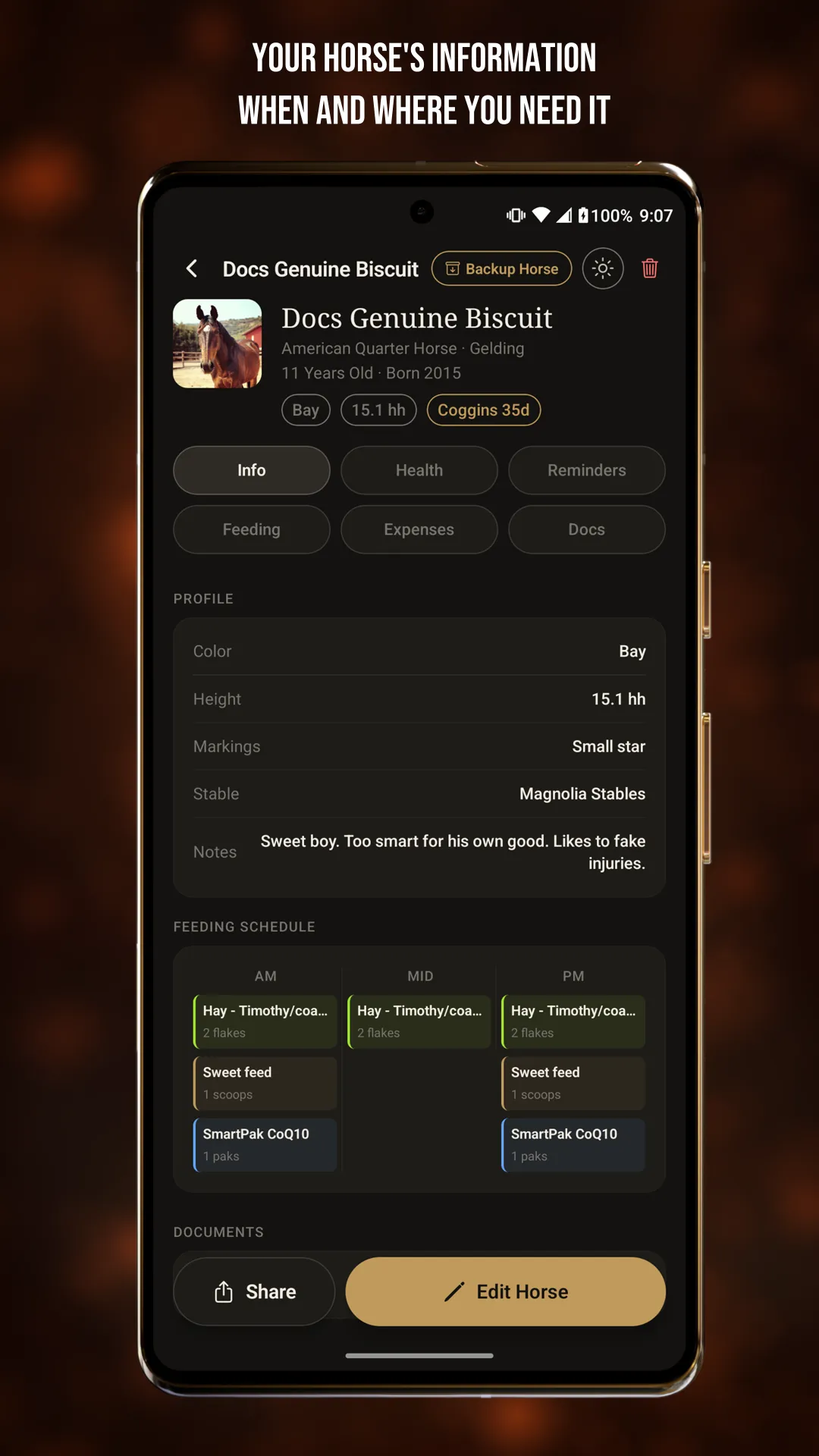 Equine Companion horse profile