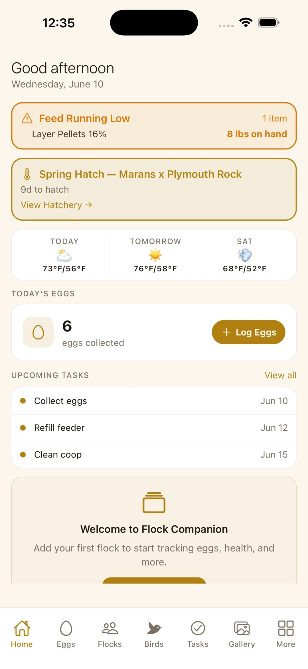 Flock Companion home dashboard
